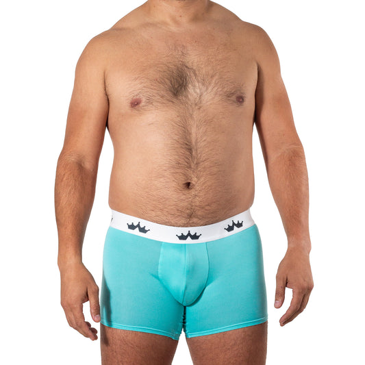 BS0055 Boxer aqua SkinIt