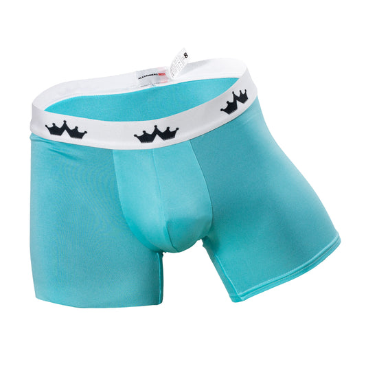 BS0055 Boxer aqua SkinIt