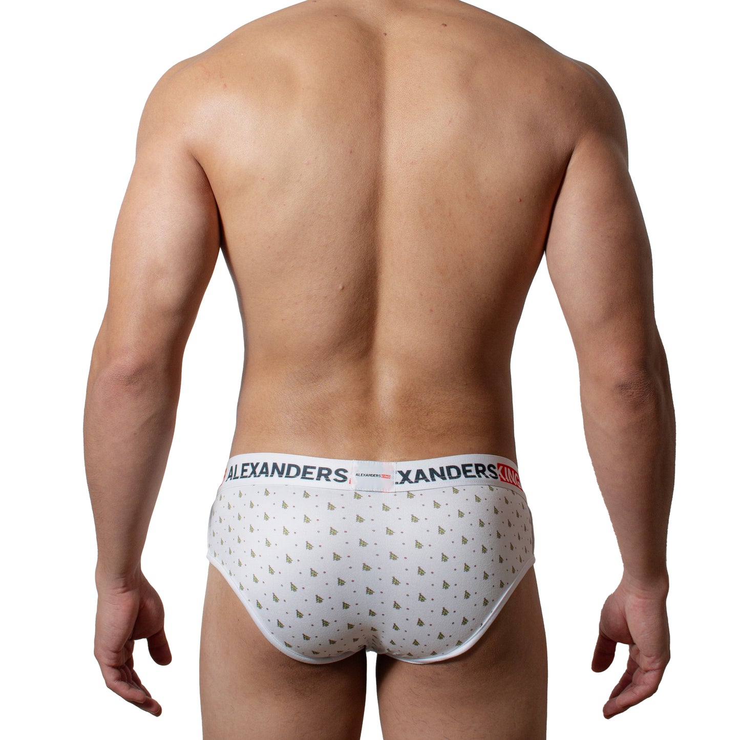 TP0160 Brief Sugar Tree Skinit