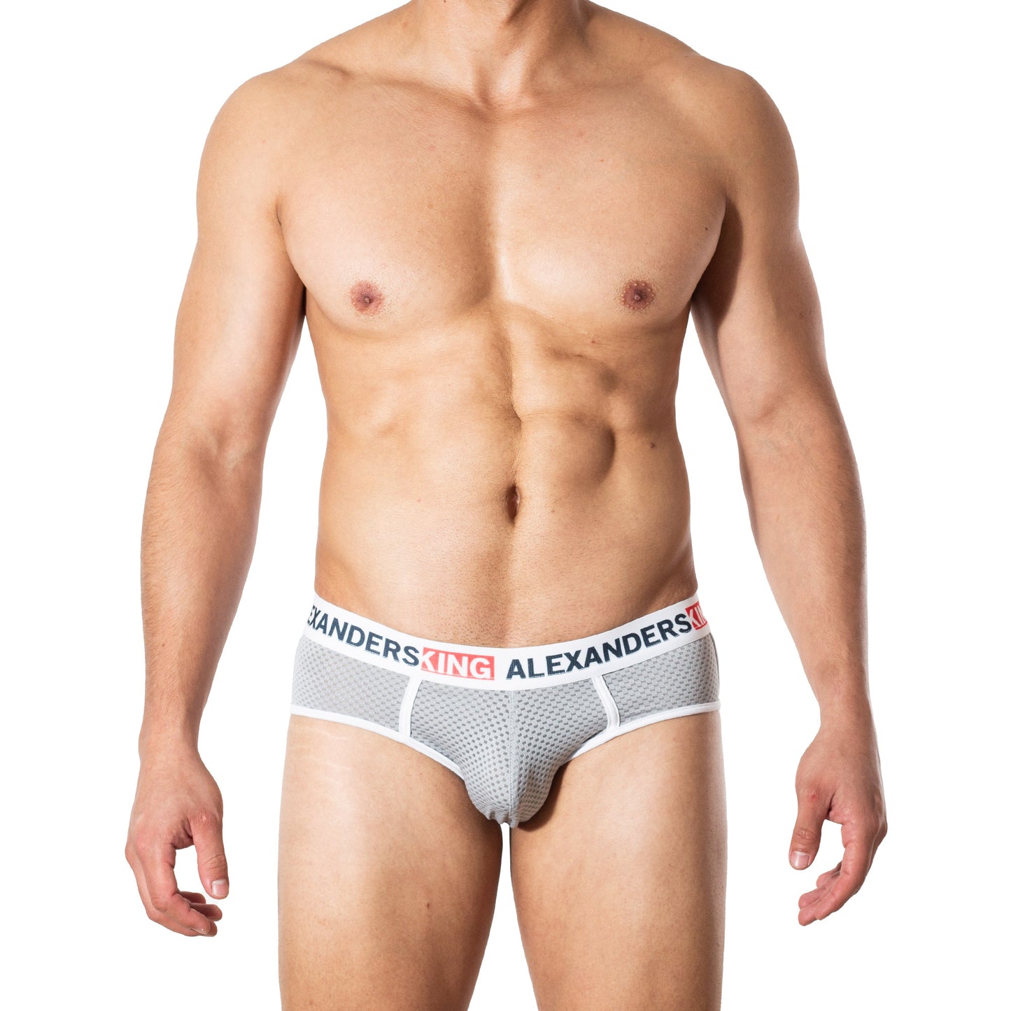 TP0338 Brief Gris claro Unwet Alexanders King