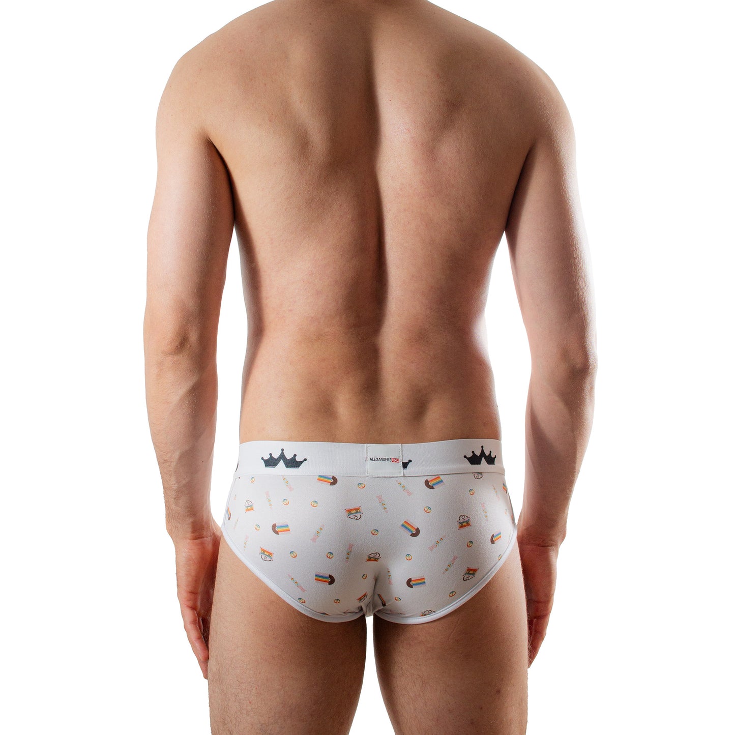 TP0385 brief estampado Retro Proud skinit alexanders king