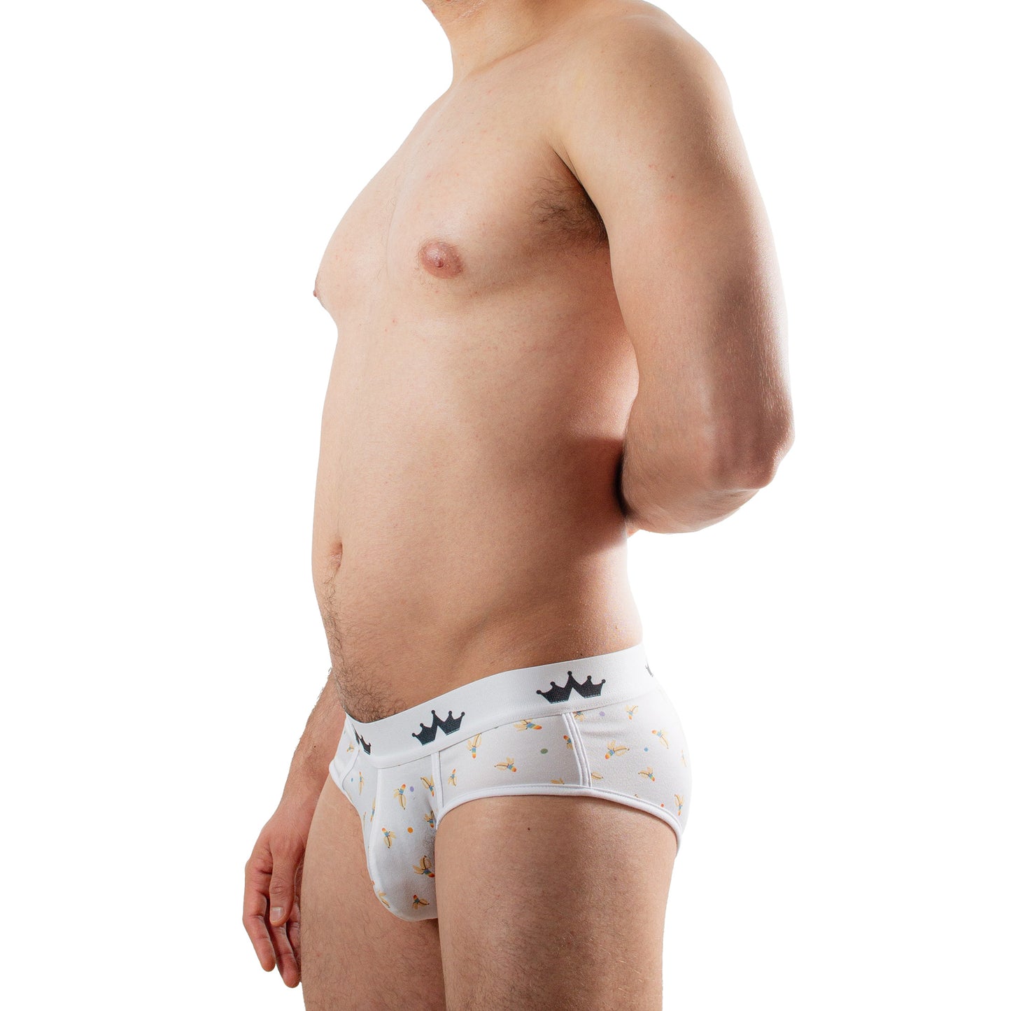 TP0386 brief estampado Banna Pride skinit alexanders king