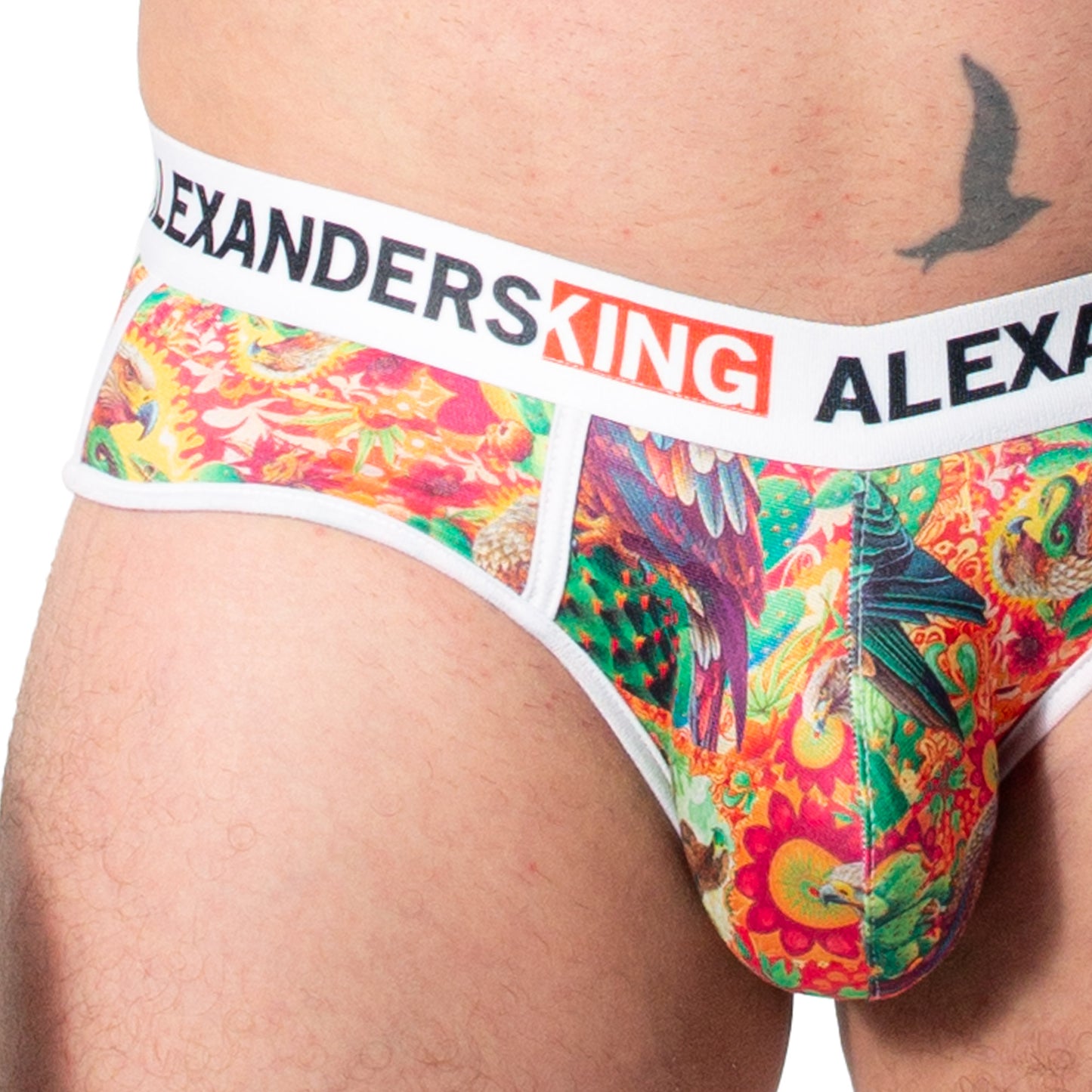 TP0394 brief estampado de Aguila y Serpiente skinit alexanders king