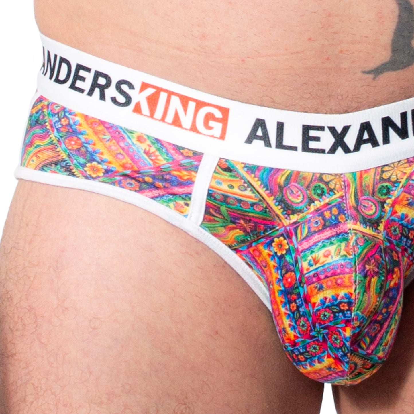 TP0399 brief estampado de Zarape skinit alexanders king