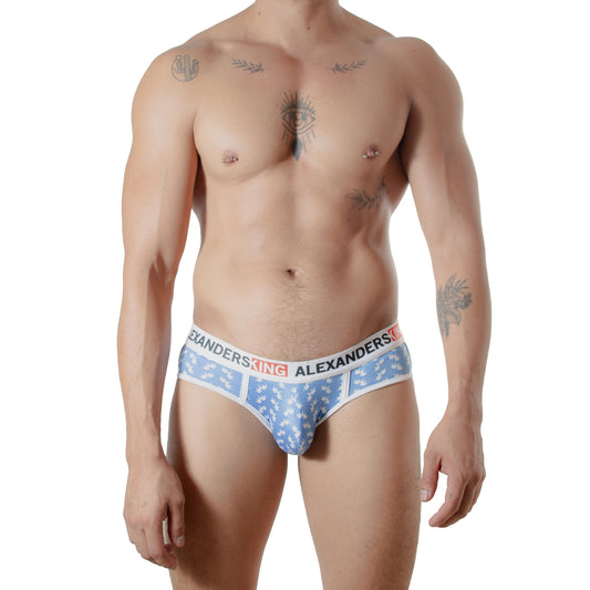 TP0414  Brief Corona de Serenidad Azul  skinint