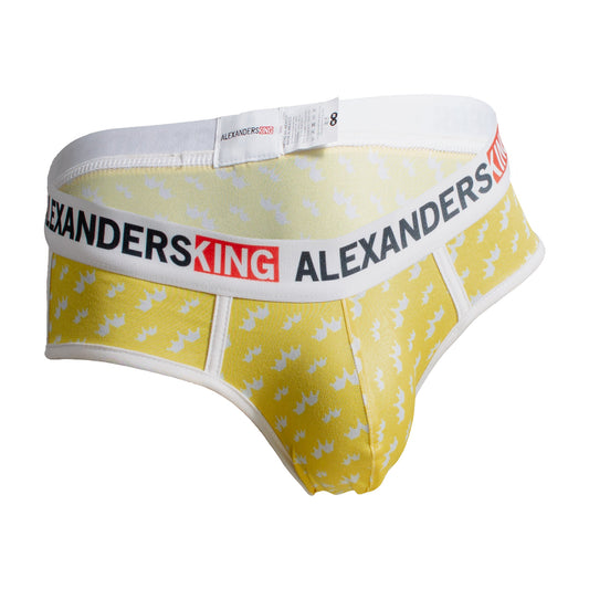 TP0416  Brief Corona de abundancia amarillo skinint