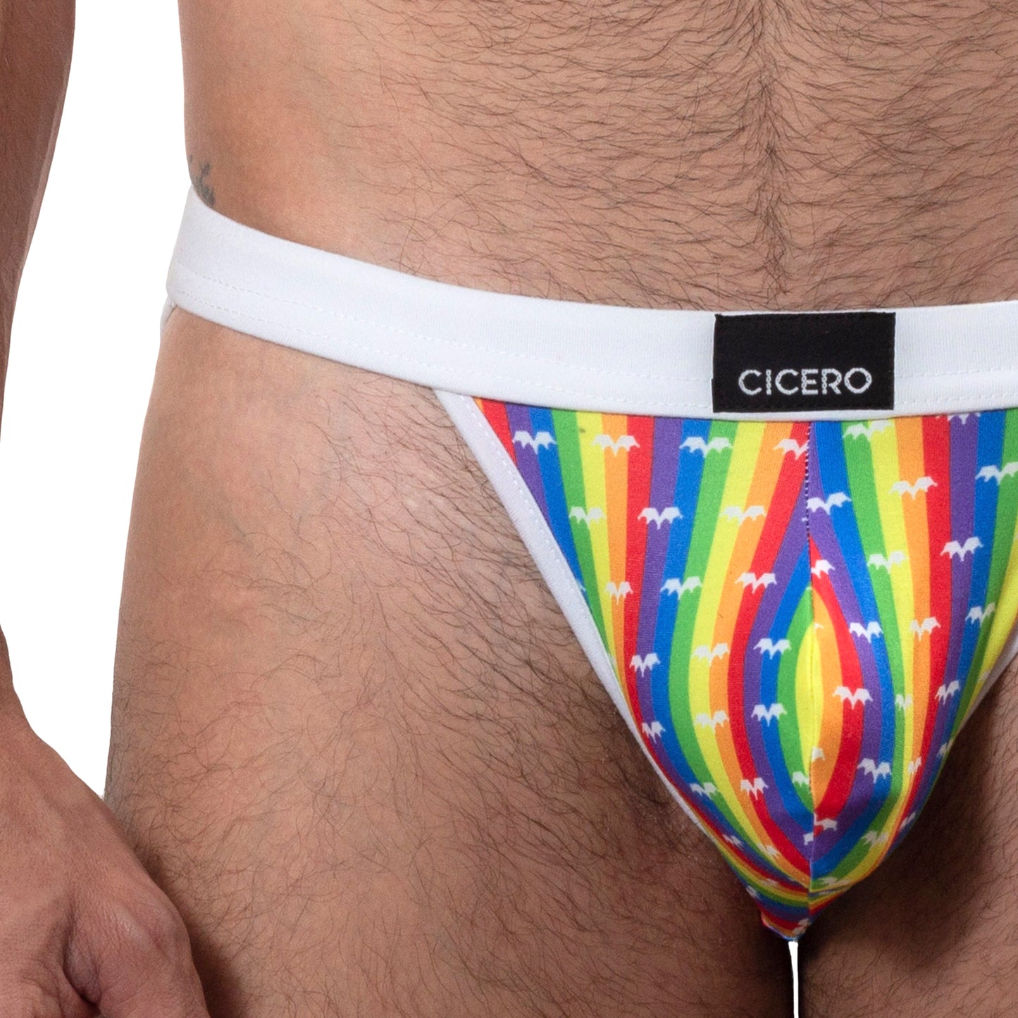 SB0030 Brief Bikini KINGSPRIDE Confetti Field  arcoiris coronas blancas SkinIt cicero