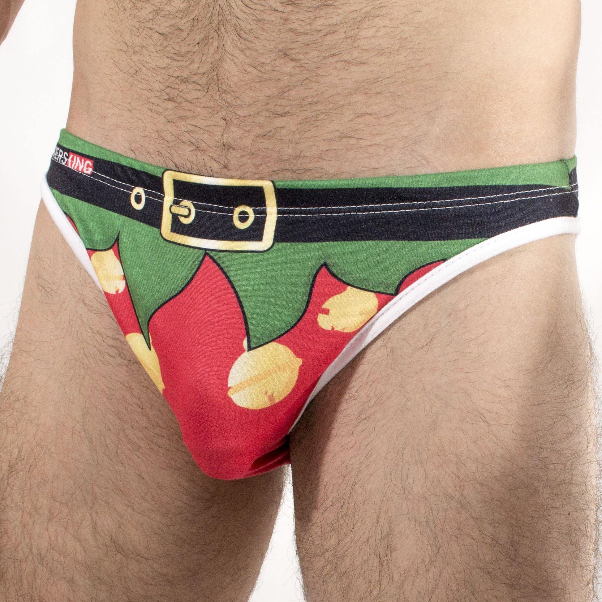 TC0003 - Brief Kinky Elf - AlexandersKing Underwear