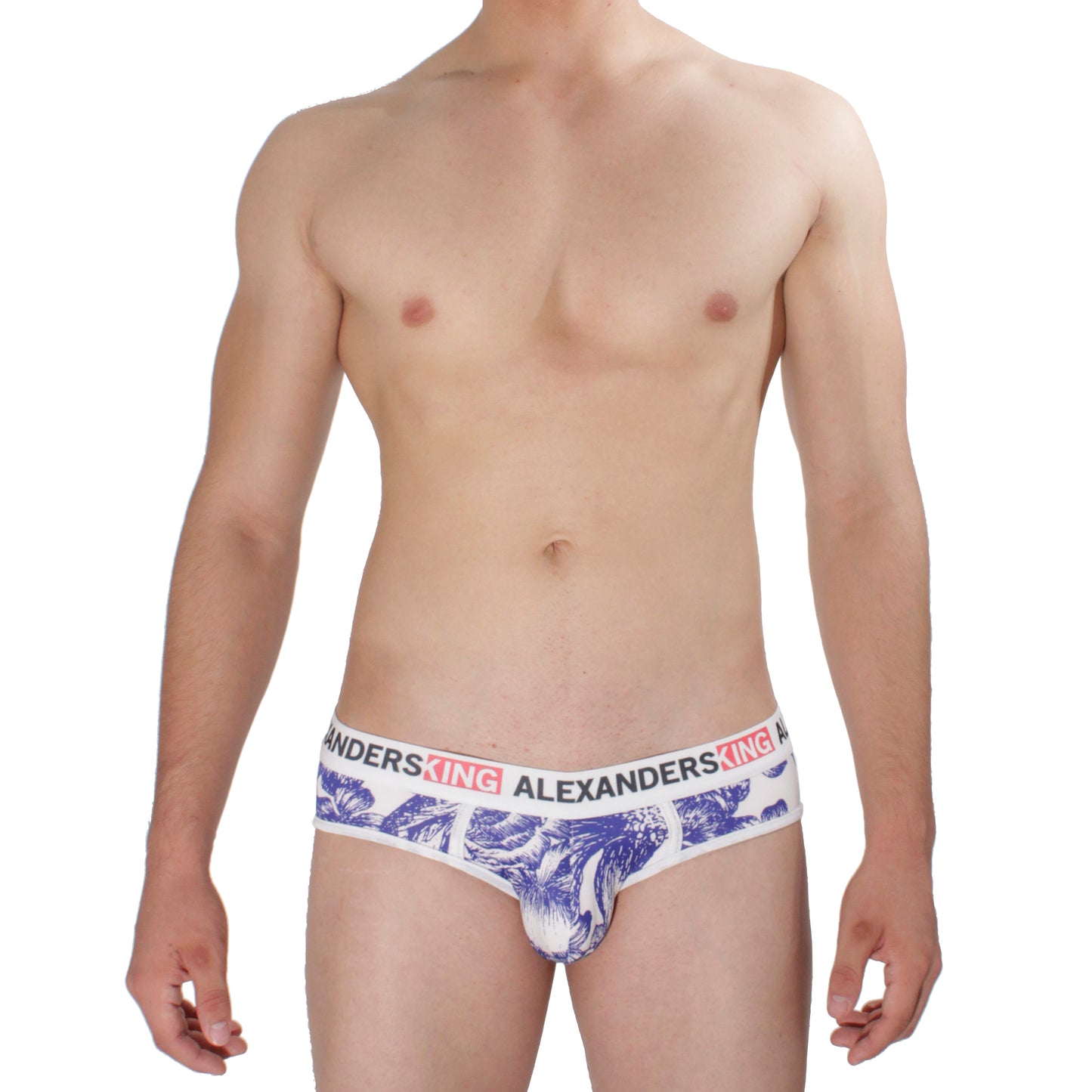 TP0092 Brief Ceramica Blue with White Skinit Alexanders King