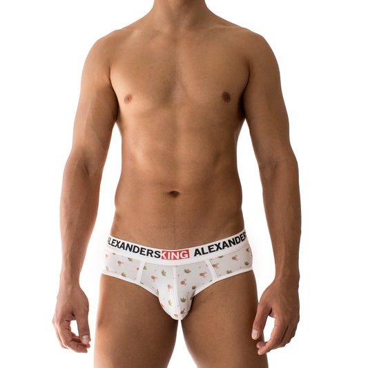 TP0156 Brief Dear Deer Skinit