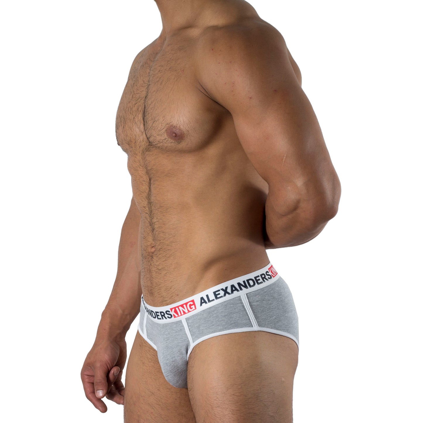 TP0053 Brief Gris Claro Comfort Alexanders King