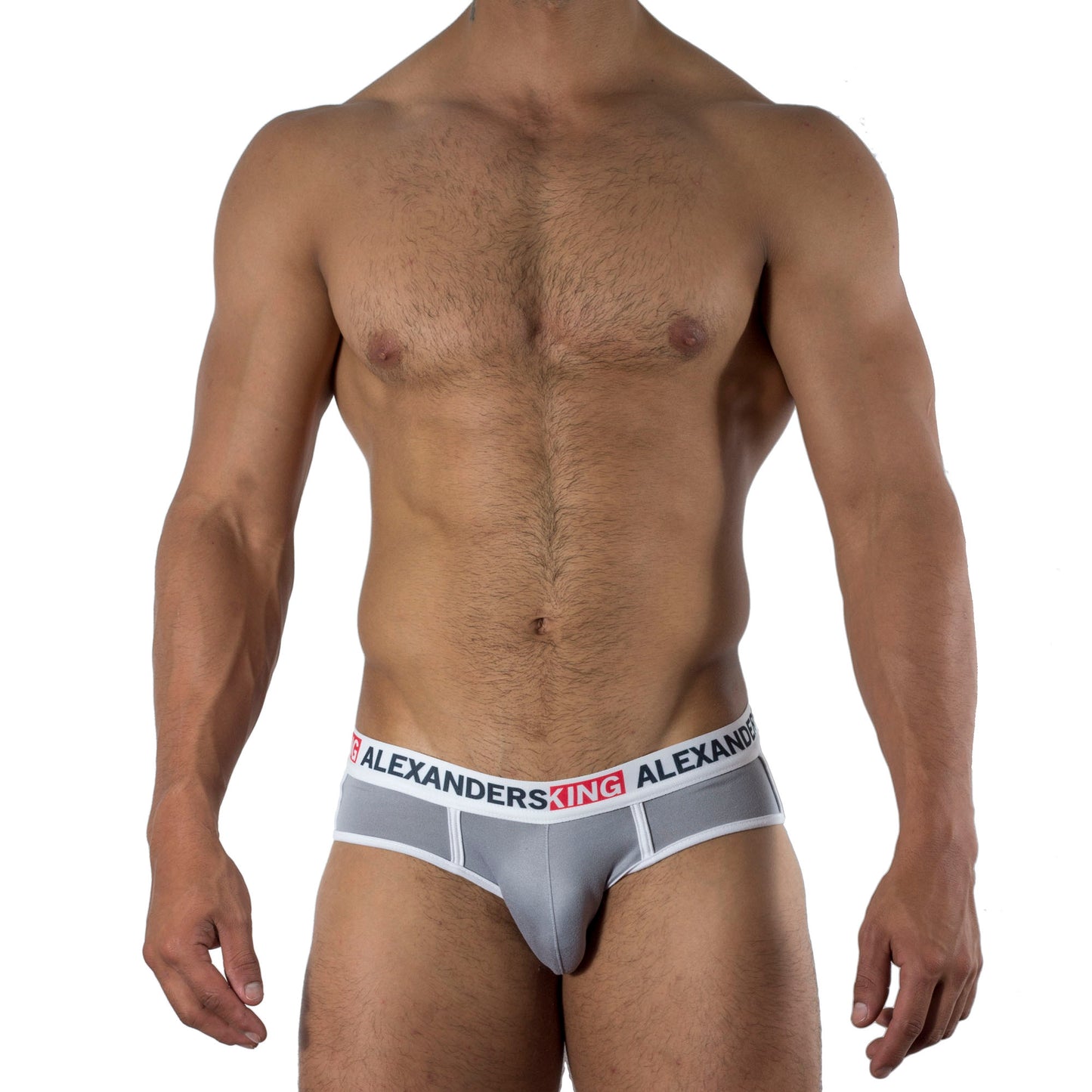 TP0073 Brief Gris Humo Skinit Alexanders King